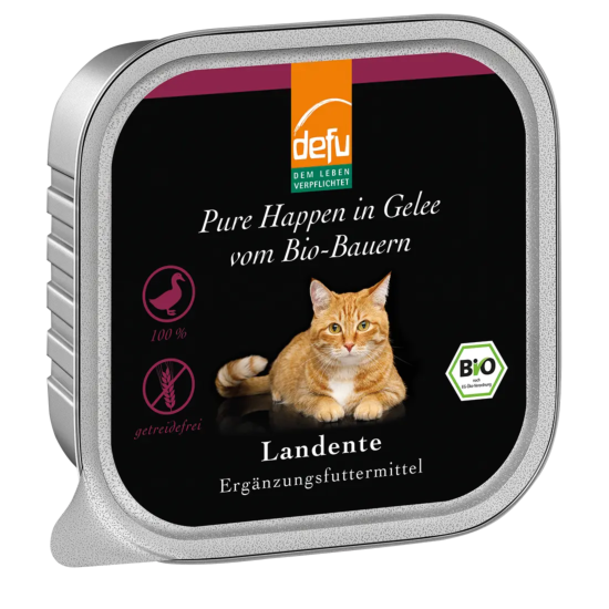 Katze: Landente - Pure Happen in Gelee