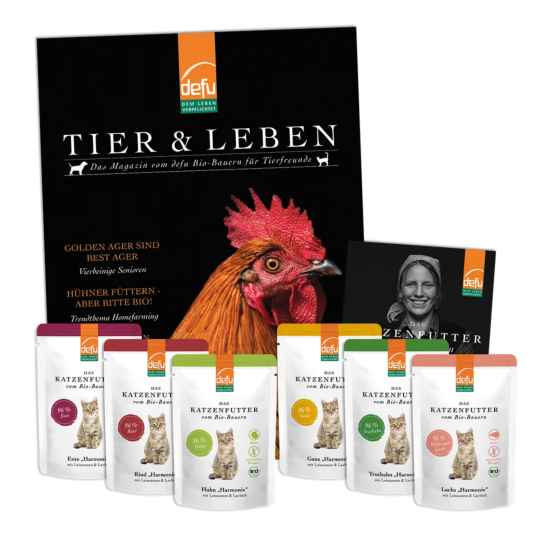 Katze: Probierpaket - Harmonie