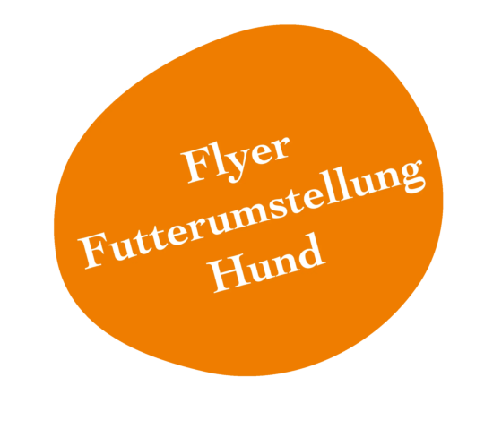 Flyer Hund: Futterumstellung