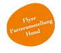Flyer Hund: Futterumstellung