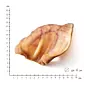 Hund: Bio-Schweineohren getrocknet