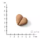 Hund: Bio-Snack Huhn & Carob