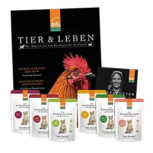 Katze: Probierpaket - Harmonie