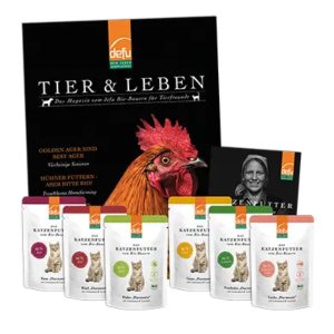 Katze: Probierpaket - Harmonie