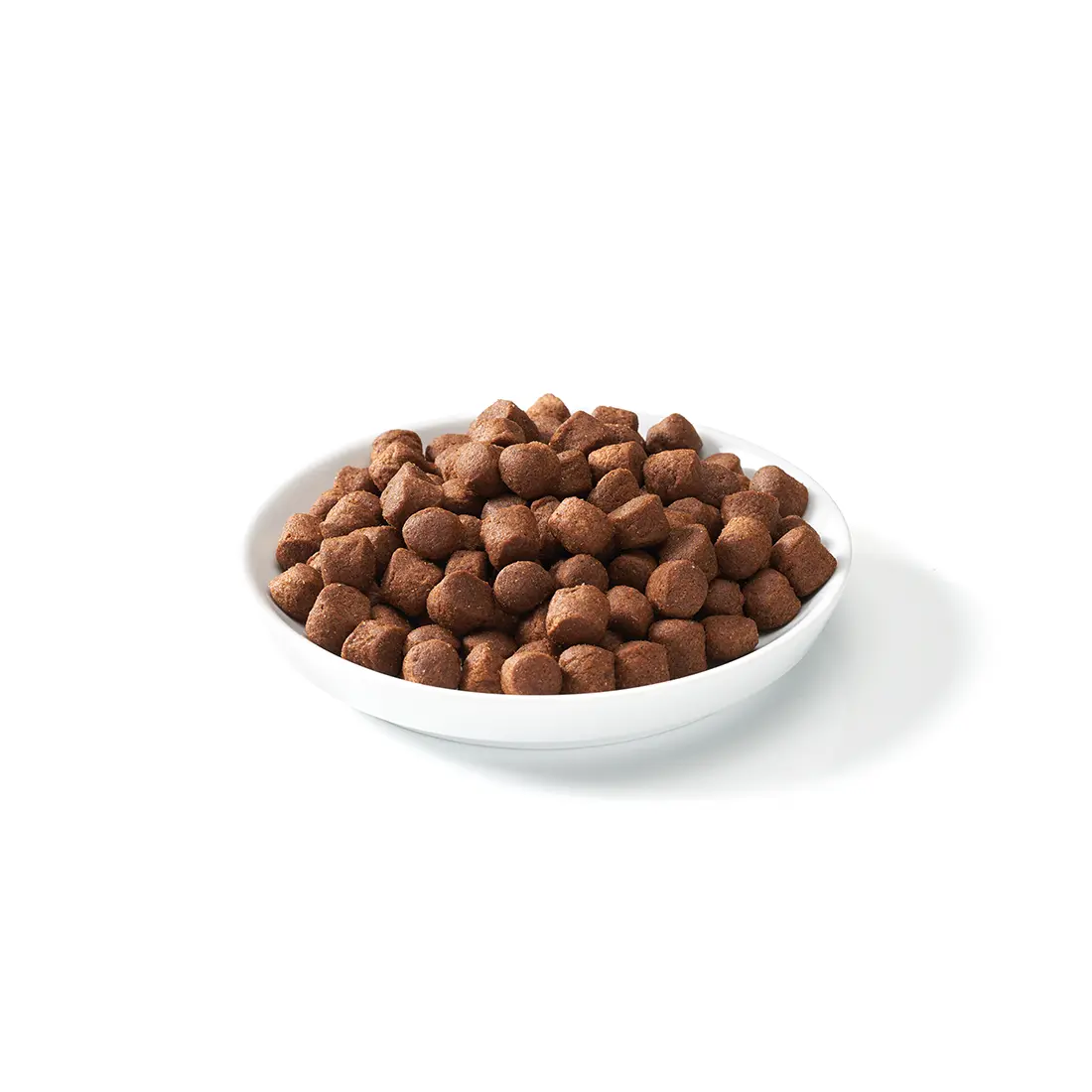 pure natur hundefutter AniForte® Nassfutter FreelandDuck – haustierkost.de®