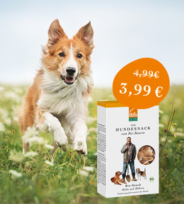 Hundesnacks_Huhn_M_hre_Fr_hling_360x400