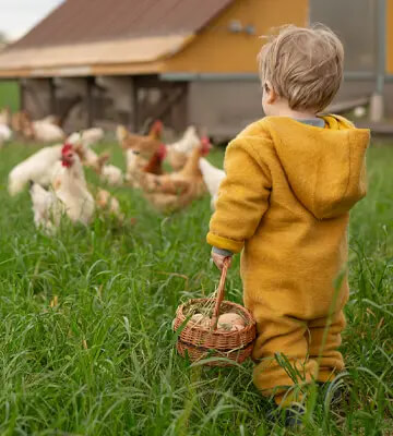 20250305_Slider_Nutztierfutter360x400