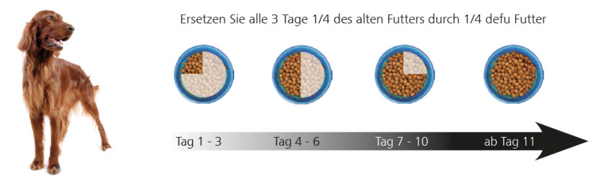 Darstellung Napf: Ersetzten Sie alle 3 Tage 1/4 des alten Futters durch 1/4 defu Futter
