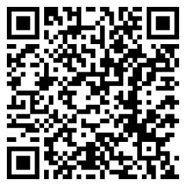 QR Code Flyer Katze Futterumstellung