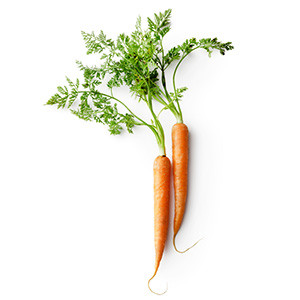 2 Karotten mit grünen Stengel